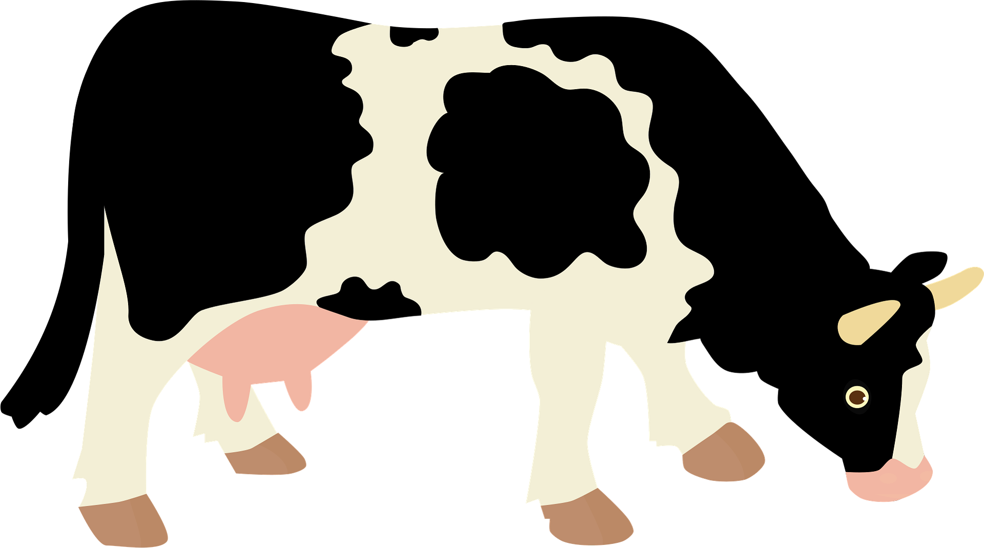 cow